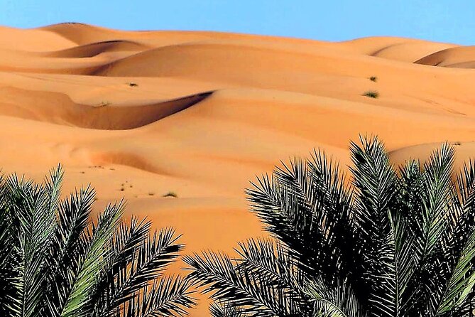 2-Day Private Wahiba Sands Desert Camping Tour from Muscat - A quick green view at Wadi Tiwi