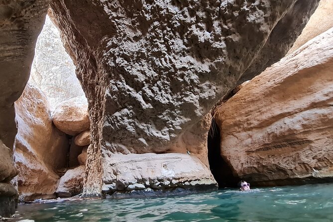 2-Days 1 Night Private Ras Al Hadd Tour - Ras Al Jinz turns the evening into a wildlife outing