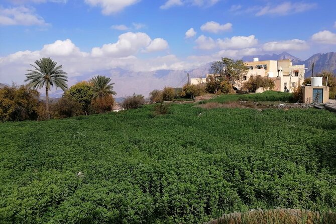 2 Days 1 Night Wakan Private Tour - Rustaq Souq and Ain Al Kasfah hot spring