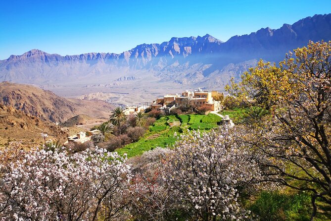 2 Days 1 Nights Private Trip to Wakan - Nakhal Fort rises above the date palms