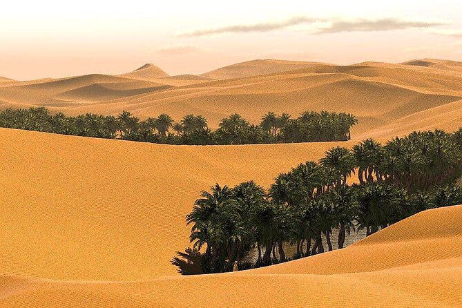 2 Days and 1 Night Private Wahiba Sands Desert Tour - What the $555 price means
