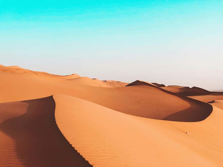 2 Days and 1 Night Private Wahiba Sands Desert with Wadi - Should you book the Wahiba Sands overnight?