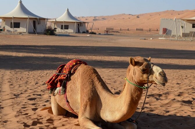 2 Days Desert Adventure Package - Leaving Muscat for Nizwa
