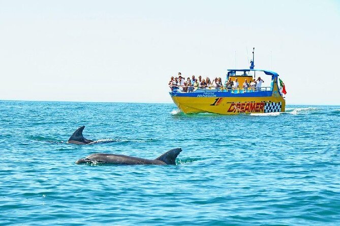 2 Hour Dolphin Watching Experience in Muscat - The first cruise along Oman’s coast
