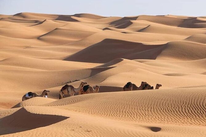 3-Days Private Tour in Oman with Pick Up - The aflaj systems explain Oman’s water story