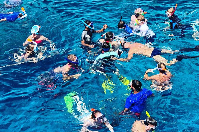 3-Hr Private Snorkeling and Dolphin Watching Tour at Muscat - Practical planning for the water