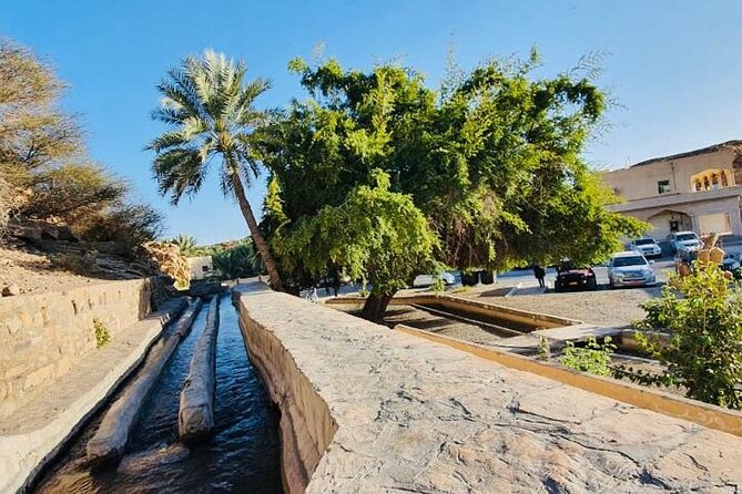 4 Days 3 Nights Package Oman Private Tour - Day 4: Nizwa Fort, village lanes, and Jebel Shams