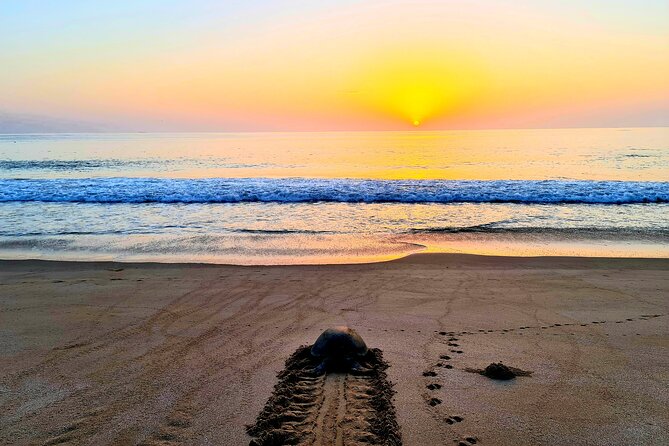 5 Days 4 Nights Oman Package Tour Mohammed - Should you book it?
