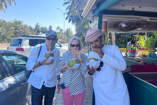 5 Hours of Salalah City Best | Private Tour - Al Haffa Beach and the coconut-lined coast