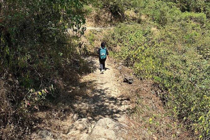 6 Hours Private Hiking in Salalah Mountains - Is $103.50 per person good value?