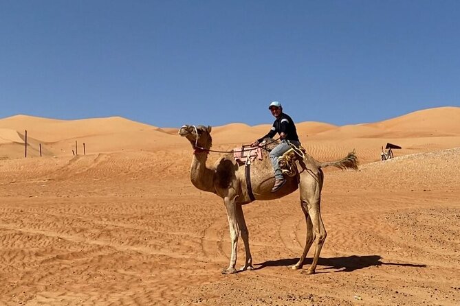 7-8 Hours Private Desert Adventure Trip with Activities - Camel riding: the gentlest way to meet the desert