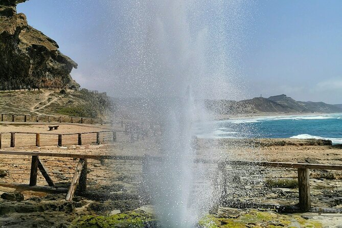 8 Hours of Salalah Best: East & West Private Tour - Frankincense trees in their natural setting