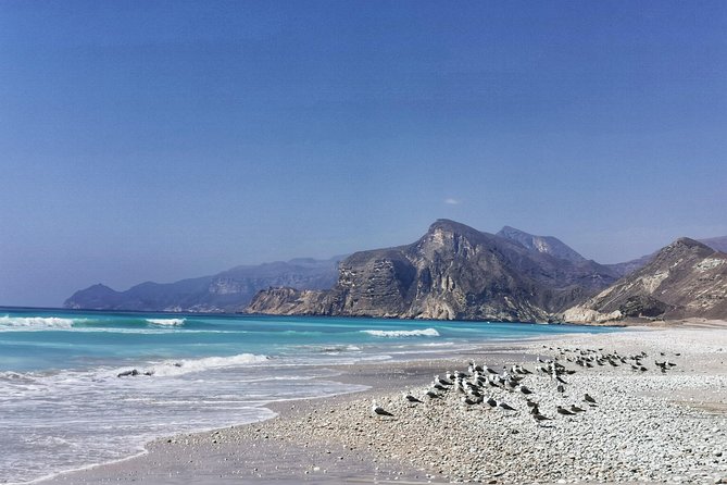 8 Hours of West Salalah Best | Private Tour - Mughsail Beach, Cliffs, and Sea Spray