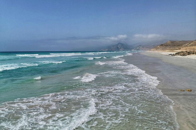 8 Hours of West Salalah Best | Private Tour - A Short Look at Dhofar’s Frankincense Trees