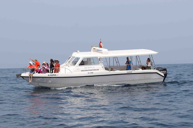 Amazing Dolphin Watching Tour In Muscat - What to bring and how to prepare