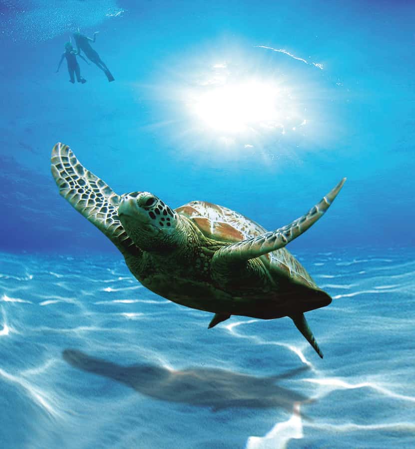 Bandar Al Khayran Jorney: Group Tour with Snorkeling - Setting out from Marina Bandar Al Rowdha
