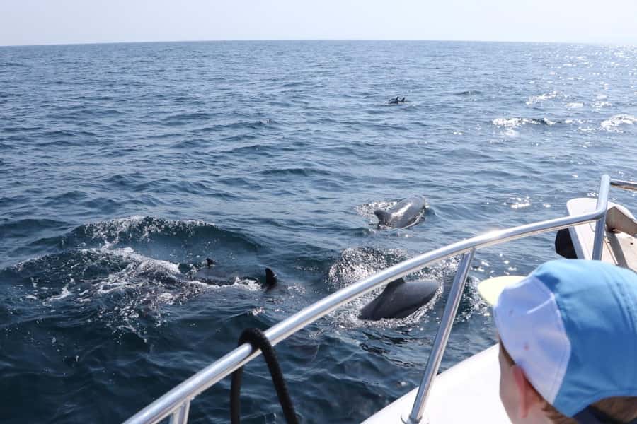 Bandar Al Khayran Jorney: Group Tour with Snorkeling - Choosing between Bandar Khiran and Muscat Bay