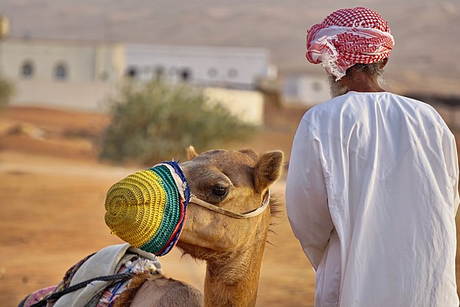 Bediyah: Camel Safari through the Wahiba Sands Desert - What the one-hour ride feels like