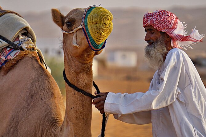 Bediyah: Camel Safari through the Wahiba Sands Desert - The value of $65