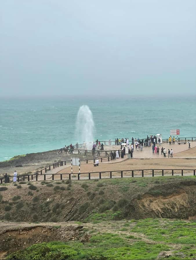 Caribian Orient (Swiming at Fazayeh Beach ) - The best time to choose this experience
