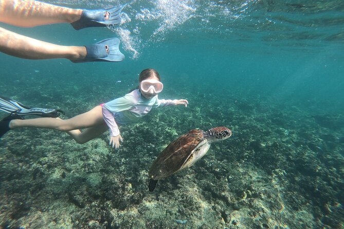 Cruises to Daymaniyat & Snorkeling - Guides Idris, Husein, and Sara