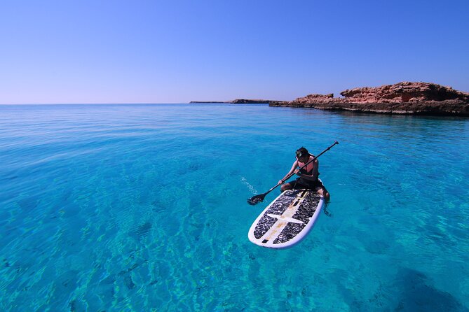 Cruises to Daymaniyat & Snorkeling - Weather, cancellation, and timing risks