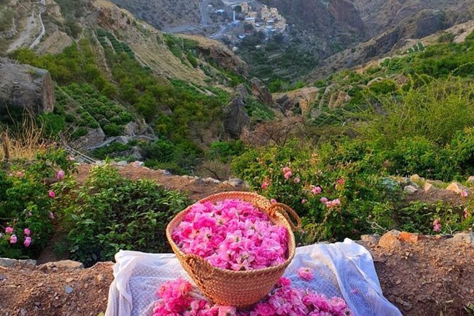 Damascus Roses - Discover the secrets of Al Jabal Al Akhdhar - Key points to know before booking