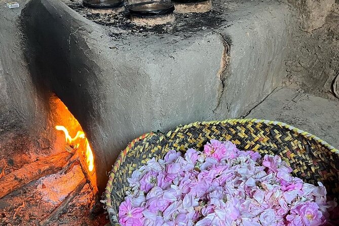 Damascus Roses - Discover the secrets of Al Jabal Al Akhdhar - Why Damascus roses make Jabal Akhdar special
