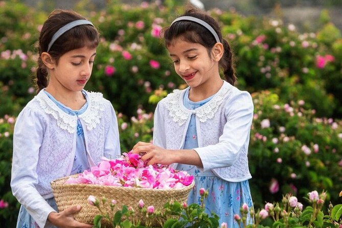 Damascus Roses - Discover the secrets of Al Jabal Al Akhdhar - What the private format changes