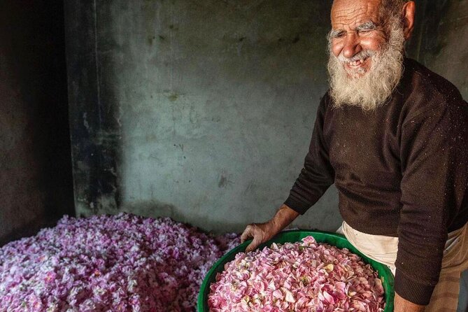 Damascus Roses - Discover the secrets of Al Jabal Al Akhdhar - Price, timing, and booking advice