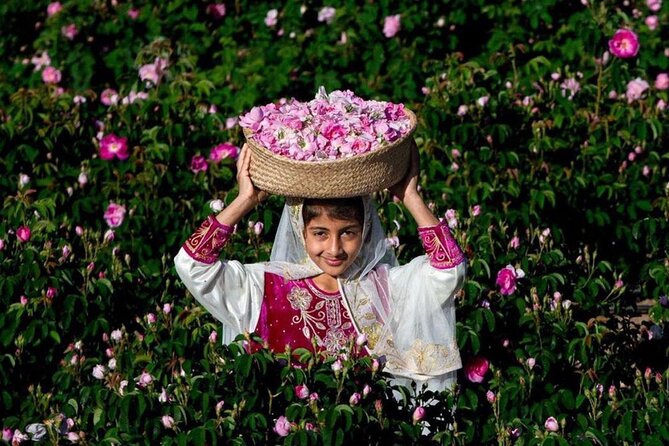Damascus Roses - Discover the secrets of Al Jabal Al Akhdhar - Leaving Muscat in a private 4WD