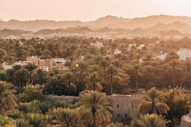 Day Tour to the Enchanting Forts of Nizwa - Is this Nizwa tour right for you?