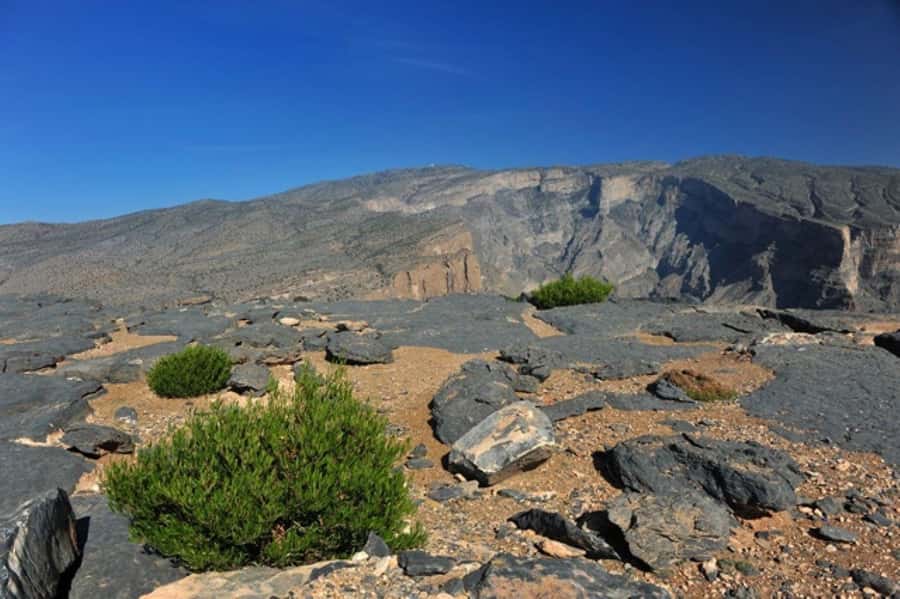Day Trip to Jabal Shams, Wadi Nakhar, Misfat Al Abriyeen - Jabal Shams and the Grand Canyon view