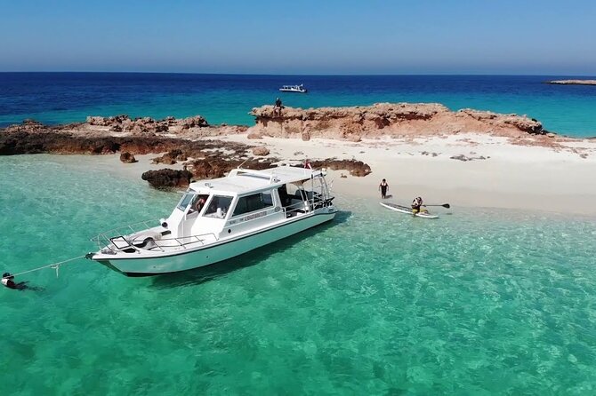 Daymaniyat island Natural Reserve and Dolphin Watching - The first 75 minutes are set aside for dolphins and whales