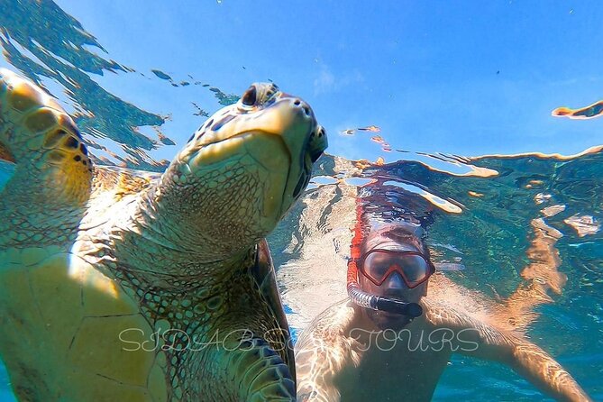 Daymaniyat island Natural Reserve and Dolphin Watching - First snorkeling stop: turtles, coral, and changing visibility