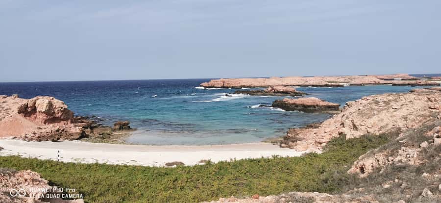 Daymaniyat Island: Snorkelling Tour with Tasty Lunch - Timing, comfort, and small practical points