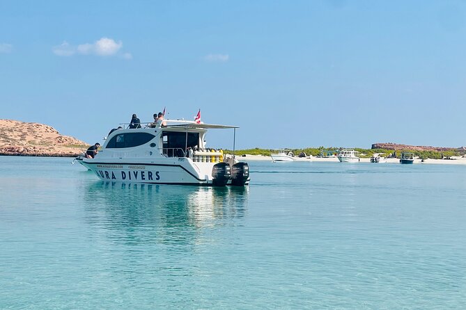 Daymaniyat Islands Snorkeling 2 different snorkeling sites and Lunch included - Setting Out From Al Mouj Marina at 8 a.m.