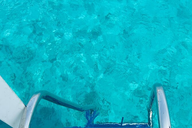 Daymaniyat Islands Snorkeling 2 different snorkeling sites and Lunch included - Is $100 Good Value?