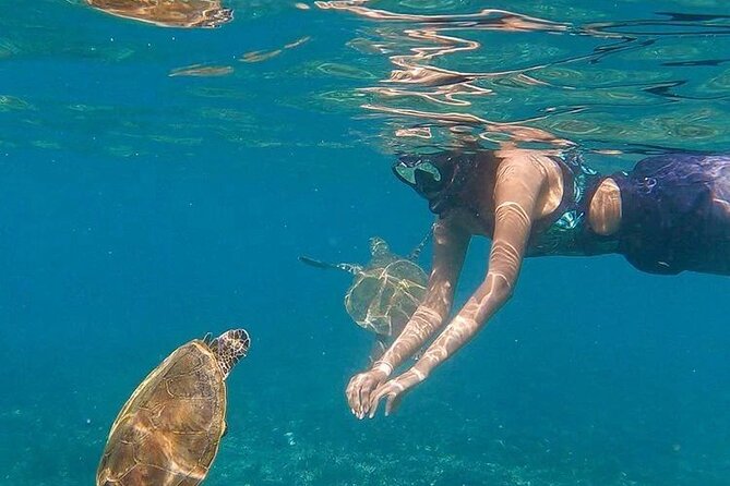 Daymaniyat Islands Snorkeling Half-Day Tour - Key points at a glance
