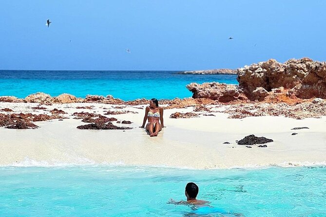 Daymaniyat Islands Snorkeling Half-Day Tour - Dolphins and whale sharks are possible, not promised