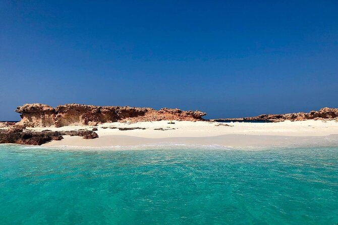 Daymaniyat Islands Snorkeling Half-Day Tour - Clean gear and simple comforts aboard