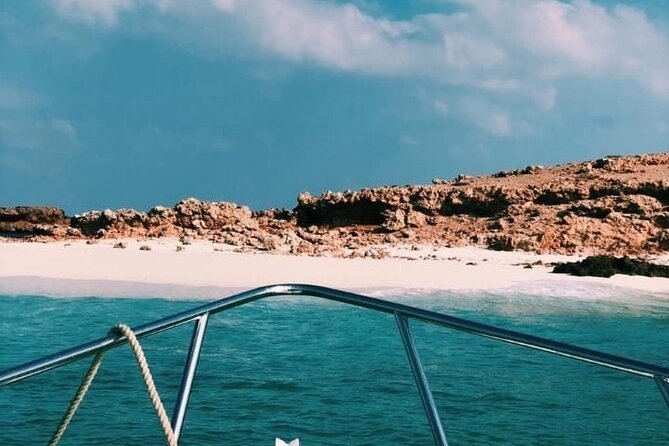 Daymaniyat Islands Snorkeling Half-Day Tour - Who will enjoy this half-day trip most?