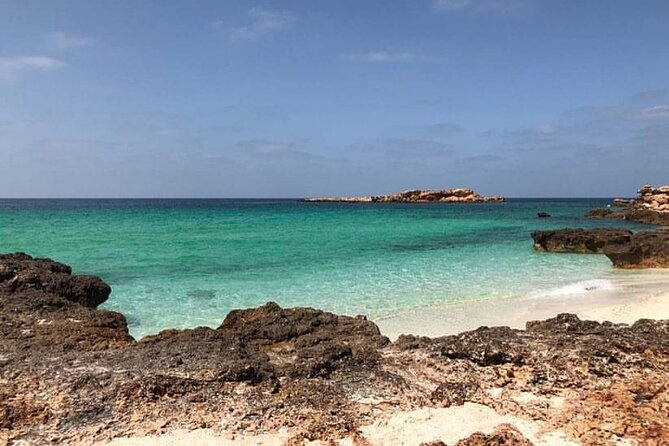 Daymaniyat Islands Snorkeling Half-Day Tour - Two snorkeling stops among coral and fish