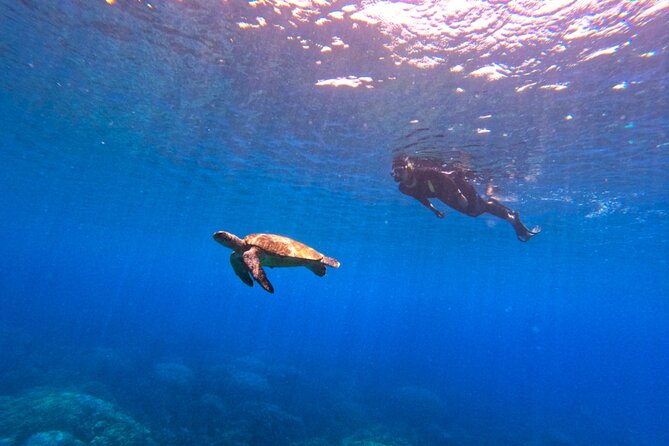 Daymaniyat Islands Snorkeling Sharing Trip - Kayaks add a slower option