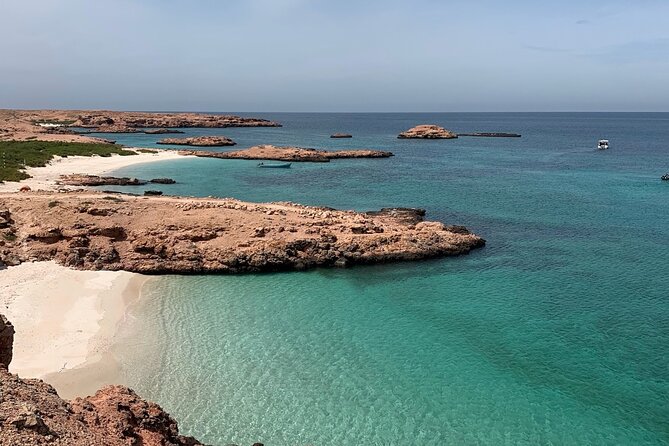 Daymaniyat Islands Snorkeling Sharing Trip - What the $106 price really covers