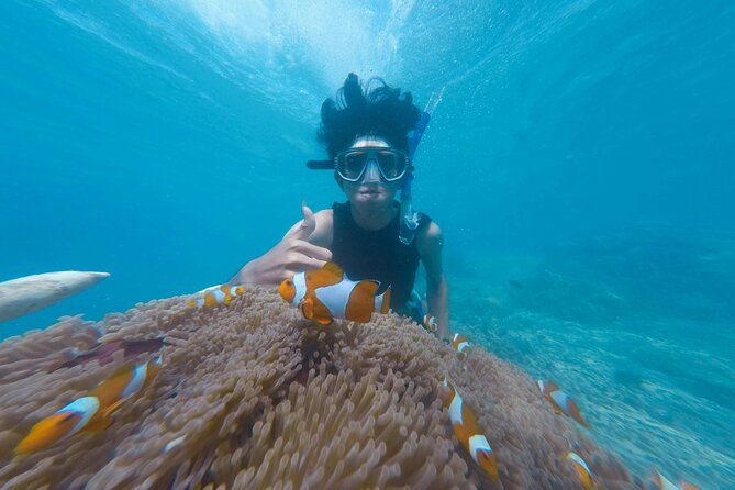 Daymaniyat Islands Snorkeling Tour - Swimming, beach time, and a slower break