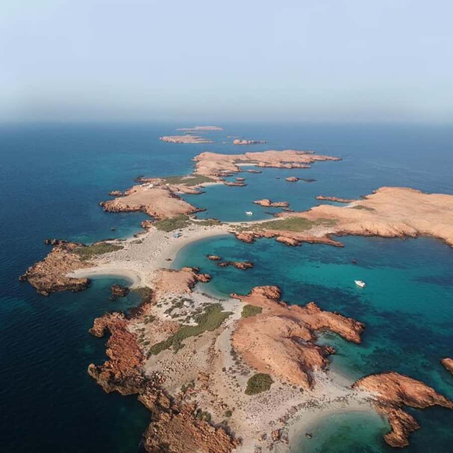 Daymaniyat Islands Snorkeling with Picnic Lunch - Island walks, kayaks, and paddle boats