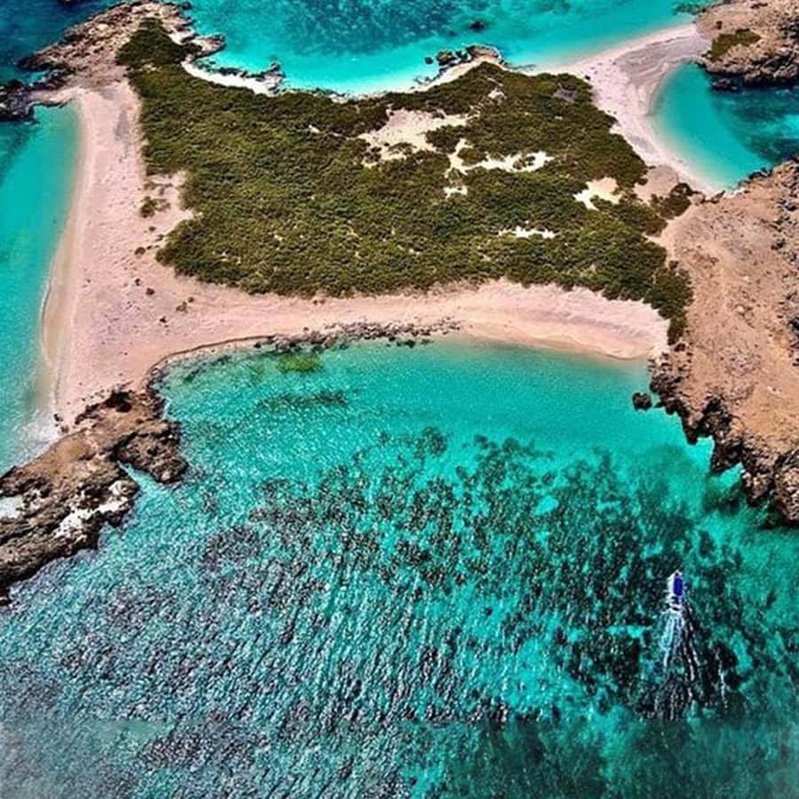 Daymaniyat Islands Snorkeling with Picnic Lunch - Who will enjoy this outing most