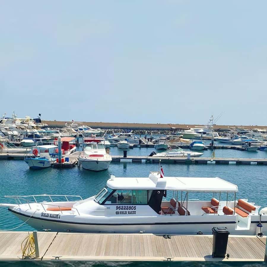 Daymaniyat Islands Snorkeling with Picnic Lunch - Price, value, and small drawbacks