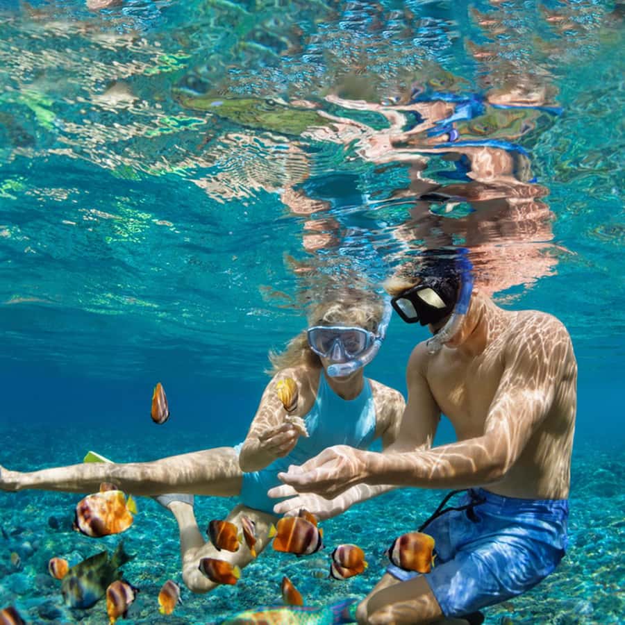 Daymaniyat Islands Snorkeling with Picnic Lunch - Should you book the Daymaniyat Islands trip?